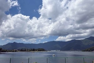 Tokio: prywatna wycieczka na górę Fuji i do Hakone z angielskojęzycznym kierowcą