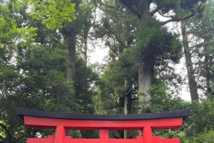 Tokio: prywatna wycieczka na górę Fuji i do Hakone z angielskojęzycznym kierowcą