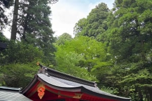 Tokio: prywatna wycieczka na górę Fuji i do Hakone z angielskojęzycznym kierowcą