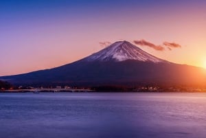 Tokyo: tour privato personalizzato del Monte Fuji e Hakone con autista inglese