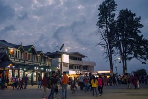 Tokyo: tour privato personalizzato del Monte Fuji e Hakone con autista inglese