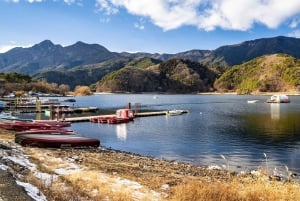 Tokyo: tour privato personalizzato del Monte Fuji e Hakone con autista inglese