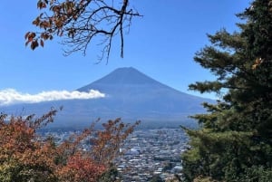 Tokio: Mt Fuji & Hakone Private Tagestour mit englischem Fahrer