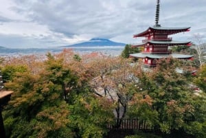 Tokio: Mt Fuji & Hakone Private Tagestour mit englischem Fahrer