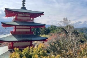 Tokio: Mt Fuji & Hakone Private Tagestour mit englischem Fahrer