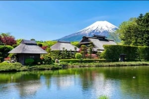 Tokio: Mt Fuji & Hakone Private Tagestour mit englischem Fahrer