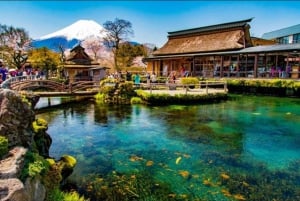 Tokio: Mt Fuji & Hakone Private Tagestour mit englischem Fahrer