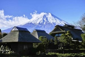 Tokio: Mt Fuji & Hakone Private Tagestour mit englischem Fahrer