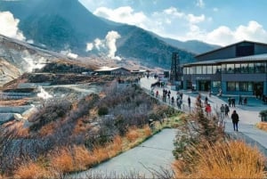 Tokio: Mt Fuji & Hakone Private Tagestour mit englischem Fahrer