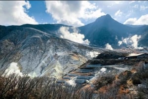 Tokio: Mt Fuji & Hakone Private Tagestour mit englischem Fahrer