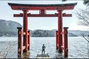 Tokio: Mt Fuji & Hakone Private Tagestour mit englischem Fahrer