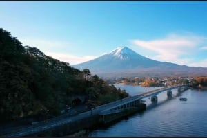 Tokio: Mt Fuji & Hakone Private Tagestour mit englischem Fahrer