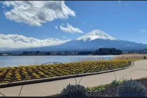 Tokio: Mt Fuji & Hakone Private Tagestour mit englischem Fahrer