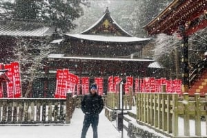 Tokio: Mt Fuji & Hakone Private Tagestour mit englischem Fahrer