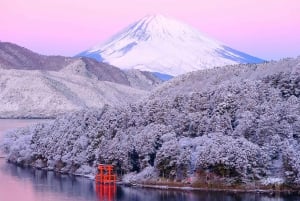 Tokyo: Mt.Fuji, Hakone Ropeway and Owakudani ValleyDay Tour