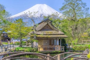 Tokyo: Mt.Fuji, Hakone Ropeway and Owakudani ValleyDay Tour