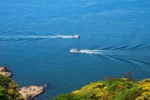 Токио: гора Фудзи и Хаконе, БЕСПЛАТНЫЙ пиратский корабль и канатная дорога