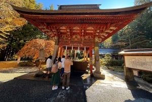 Från Tokyo: Berget Fuji och Hakone privat tur (lågt pris)