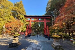 Från Tokyo: Berget Fuji och Hakone privat tur (lågt pris)