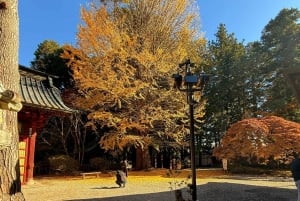 Från Tokyo: Berget Fuji och Hakone privat tur (lågt pris)