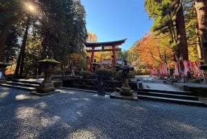 Från Tokyo: Berget Fuji och Hakone privat tur (lågt pris)