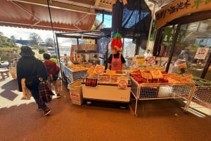 Från Tokyo: Berget Fuji och Hakone privat tur (lågt pris)