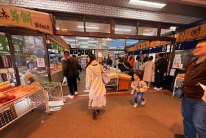 Från Tokyo: Berget Fuji och Hakone privat tur (lågt pris)