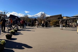 Från Tokyo: Berget Fuji och Hakone privat tur (lågt pris)