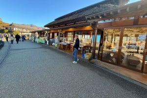 Från Tokyo: Berget Fuji och Hakone privat tur (lågt pris)