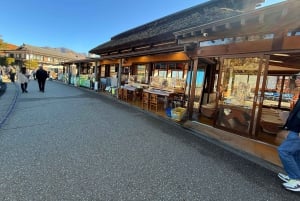 Från Tokyo: Berget Fuji och Hakone privat tur (lågt pris)