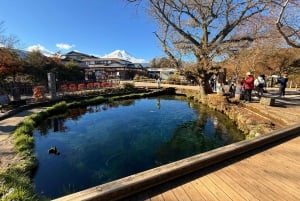 Från Tokyo: Berget Fuji och Hakone privat tur (lågt pris)