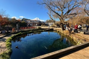 Från Tokyo: Berget Fuji och Hakone privat tur (lågt pris)