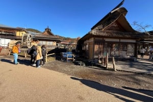 Från Tokyo: Berget Fuji och Hakone privat tur (lågt pris)