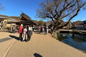 Från Tokyo: Berget Fuji och Hakone privat tur (lågt pris)