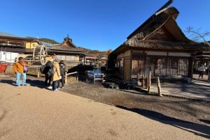 Från Tokyo: Berget Fuji och Hakone privat tur (lågt pris)