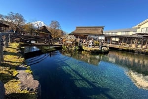 Från Tokyo: Berget Fuji och Hakone privat tur (lågt pris)