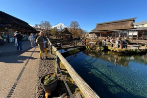Från Tokyo: Berget Fuji och Hakone privat tur (lågt pris)