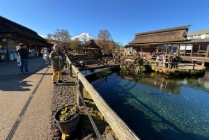 Från Tokyo: Berget Fuji och Hakone privat tur (lågt pris)