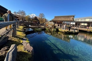 Från Tokyo: Berget Fuji och Hakone privat tur (lågt pris)