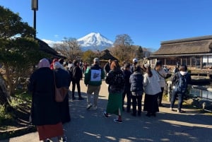 Från Tokyo: Berget Fuji och Hakone privat tur (lågt pris)