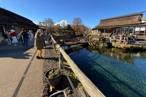 Från Tokyo: Berget Fuji och Hakone privat tur (lågt pris)