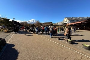 Från Tokyo: Berget Fuji och Hakone privat tur (lågt pris)
