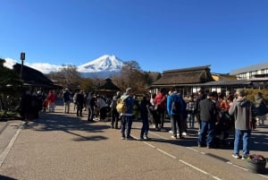 Från Tokyo: Berget Fuji och Hakone privat tur (lågt pris)