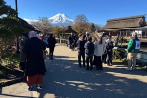 Från Tokyo: Berget Fuji och Hakone privat tur (lågt pris)