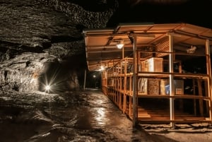 Tokyo: Mt. Fuji Hidden Gems and Aokigahara Forest Tour