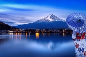 Tokyo: Mt. Fuji Hidden Gems and Aokigahara Forest Tour