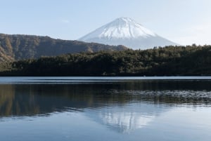 Tokyo: Mt. Fuji Hidden Gems and Aokigahara Forest Tour