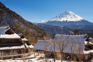 Tokyo: Mt. Fuji Hidden Gems and Aokigahara Forest Tour