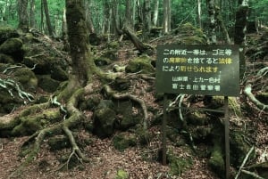 Tokyo: Mt. Fuji Hidden Gems and Aokigahara Forest Tour