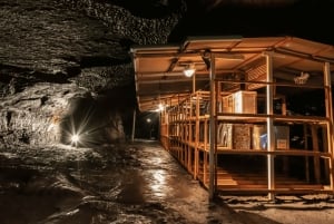 Tokyo: Mt. Fuji Hidden Gems and Aokigahara Forest Tour